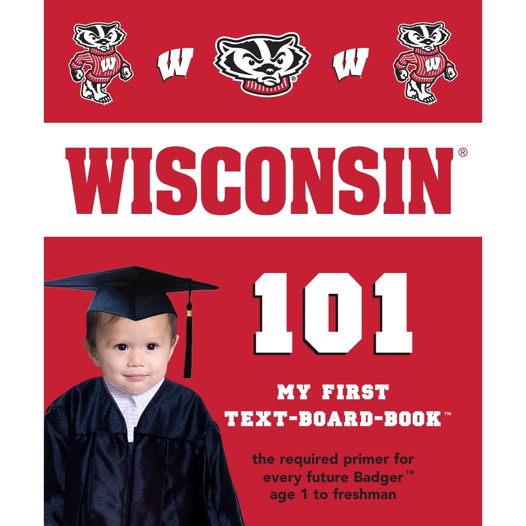 Wisconsin 101