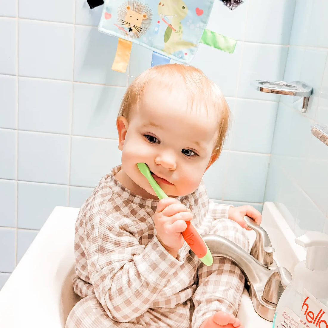 Baby Animals Brushing Teeth Dental Crinkle Tag Toy Teether