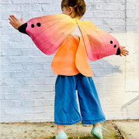 Butterfly Fairy Wings
