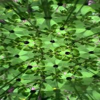 Huckleberry DIY Kaleidoscope