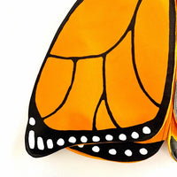Monarch Butterfly Wings