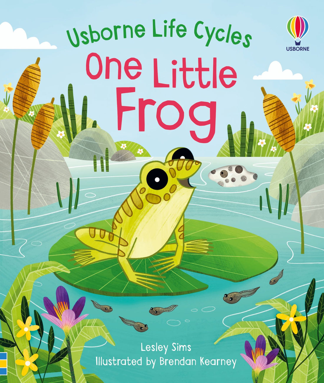 One Little Frog (Usborne Life Cycles)