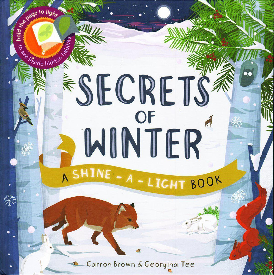 Shine-A-Light: Secrets of Winter-Books-Usborne and Kane Miller Books-bluebird baby & kids