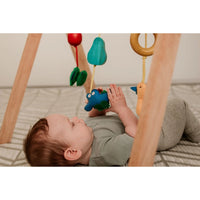 Wooden Baby Gym